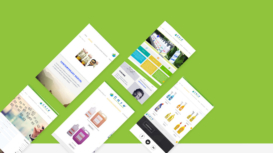 Care Enviro Solutions Website