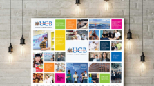 UCB Branding 2